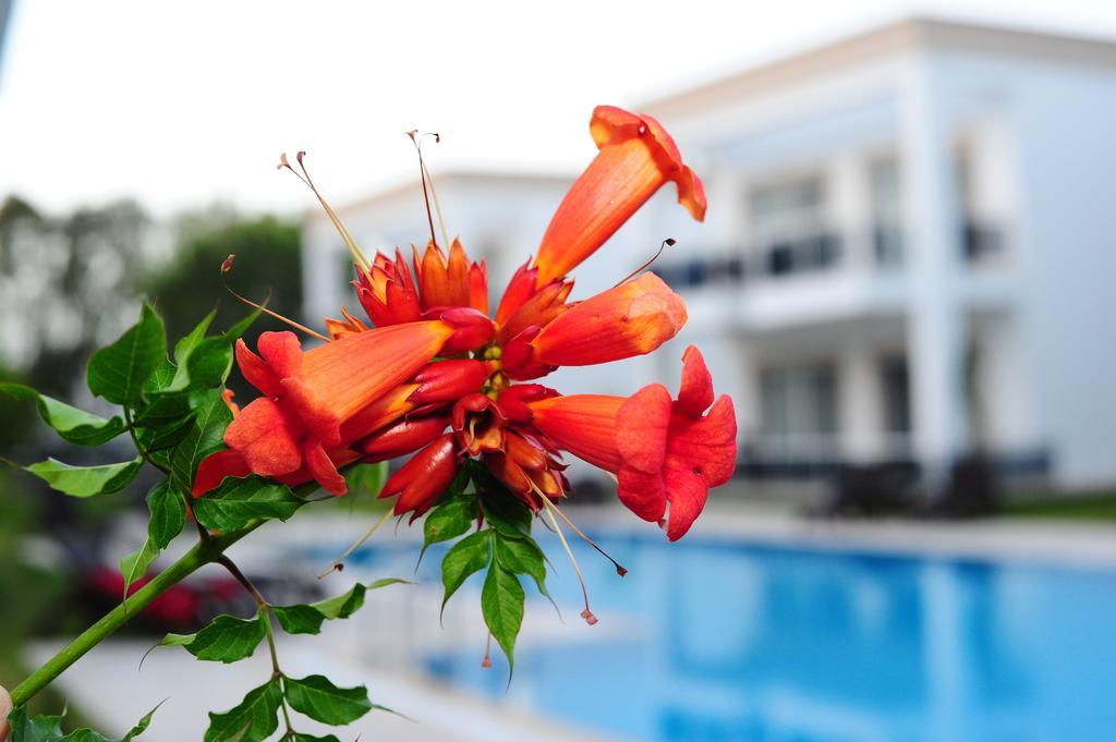Delita Suite Hotel Turkbuku Golturkbuku Kültér fotó